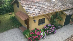 Green Wild Suite Flaminia Nuova - free park